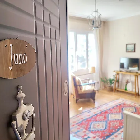 Juno A Flat In The Apartment *